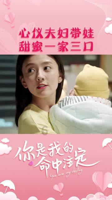 植物大战僵尸21